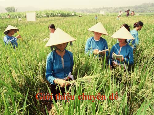 CHUYÊN ĐỀ KHÔNG KHÍ