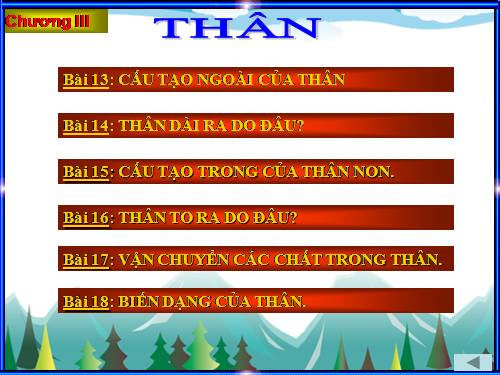 Bộ sưu tập ảnh Sinh học 6 - phần 3.ppt