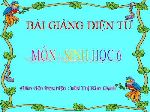 Bài 45. Nguồn gốc cây trồng