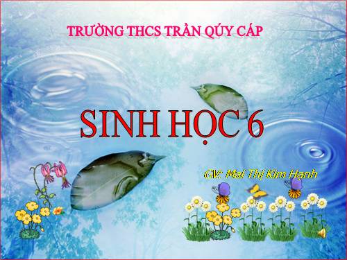 Bài 49. Bảo vệ sự đa dạng của thực vật