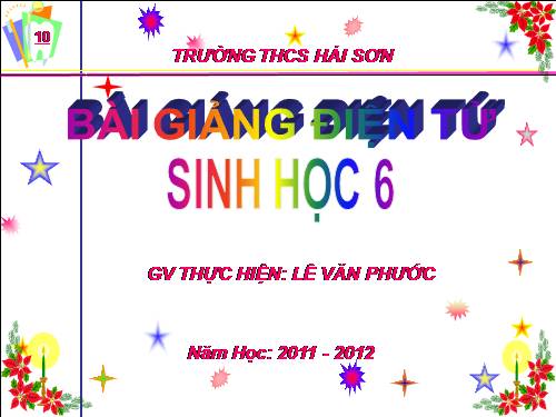 Bài 48. Vai trò của thực vật đối với động vật và đối với đời sống con người