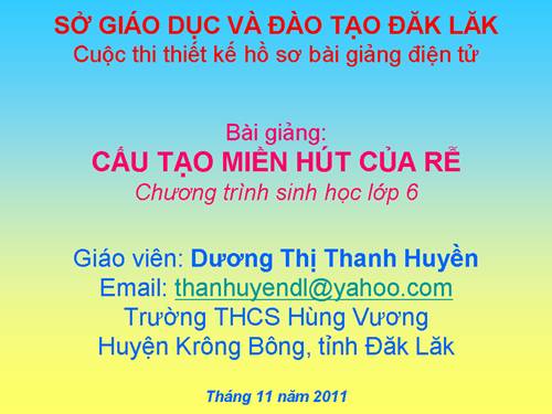 Bài 10. Cấu tạo miền hút của rễ