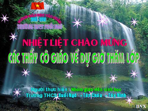 Bài 48. Vai trò của thực vật đối với động vật và đối với đời sống con người