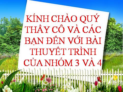 Bài 50. Vi khuẩn