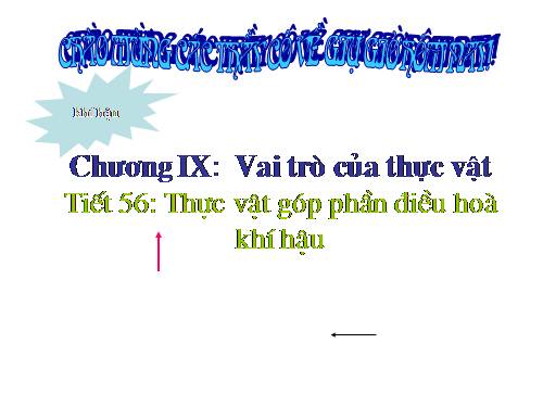 Bài 46. Thực vật góp phần điều hoà khí hậu