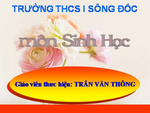 Bài 48. Vai trò của thực vật đối với động vật và đối với đời sống con người