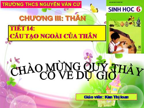 Bài 13. Cấu tạo ngoài của thân