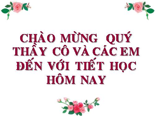 Bài 13. Cấu tạo ngoài của thân