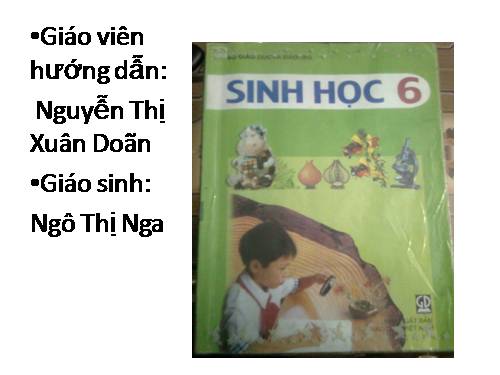 Bài 46. Thực vật góp phần điều hoà khí hậu