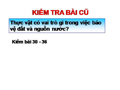 Bài 48. Vai trò của thực vật đối với động vật và đối với đời sống con người