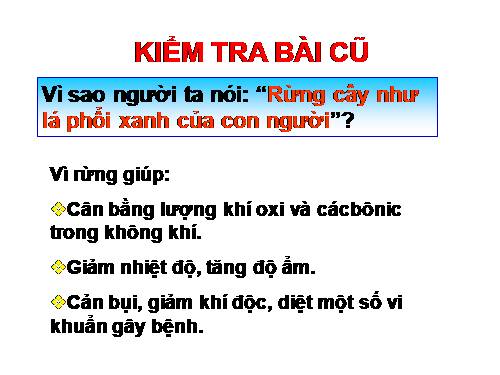 Bài 47. Thực vật bảo vệ đất và nguồn nước