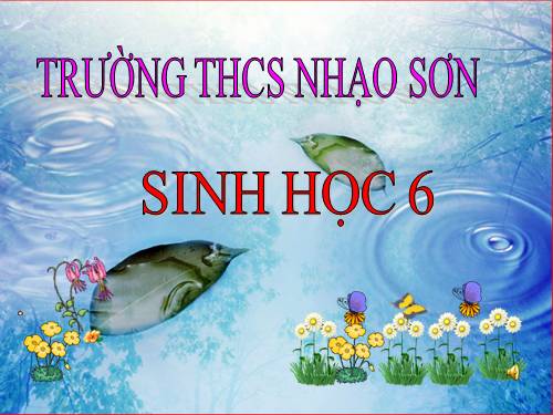 Bài 49. Bảo vệ sự đa dạng của thực vật