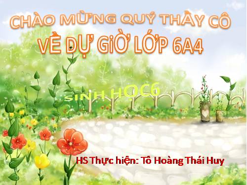 Bài 29. Các loại hoa