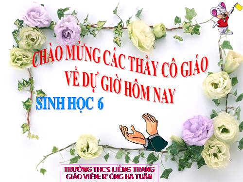 Bài 36. Tổng kết về cây có hoa