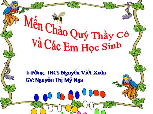 Bài 48. Vai trò của thực vật đối với động vật và đối với đời sống con người