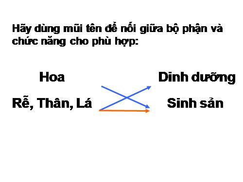 Bài 26. Sinh sản sinh dưỡng tự nhiên