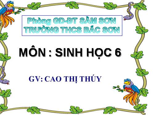 Bài 45. Nguồn gốc cây trồng