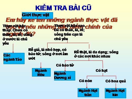 Bài 44. Sự phát triển của giới Thực vật