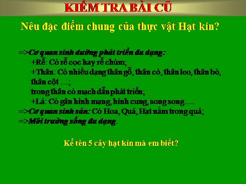 Bài 42. Lớp Hai lá mầm và lớp Một lá mầm