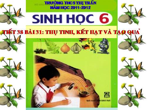 Bài 31. Thụ tinh, kết quả và tạo hạt