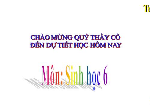 Bài 45. Nguồn gốc cây trồng