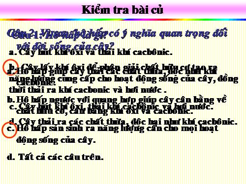 Bài 24. Phần lớn nước vào cây đi đâu?