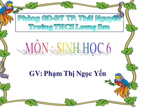 Bài 45. Nguồn gốc cây trồng