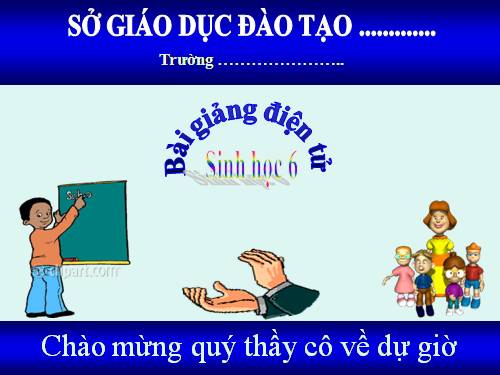 Bài 45. Nguồn gốc cây trồng