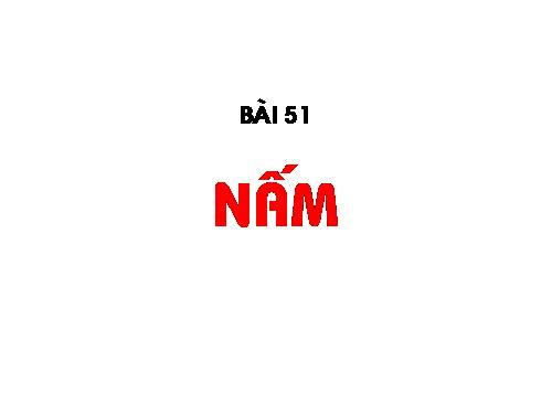 Bài 51. Nấm