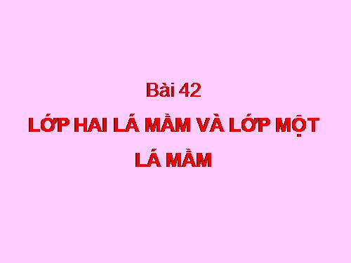 Bài 42. Lớp Hai lá mầm và lớp Một lá mầm