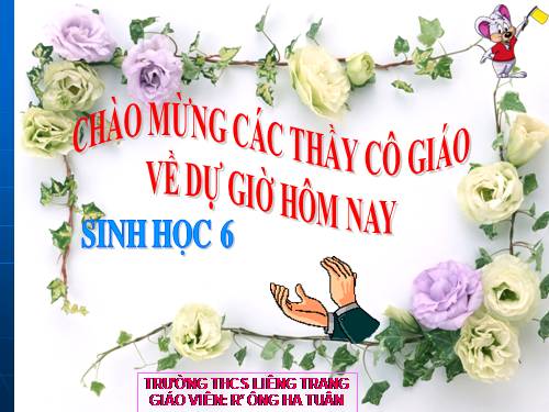 Bài 42. Lớp Hai lá mầm và lớp Một lá mầm