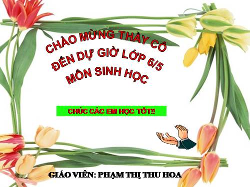 Bài 33. Hạt và các bộ phận của hạt