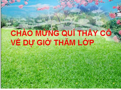 Bài 47. Thực vật bảo vệ đất và nguồn nước