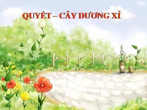 Bài 39. Quyết - Cây dương xỉ