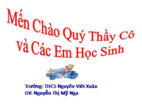 Bài 40. Hạt trần - Cây thông