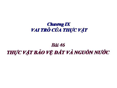 Bài 47. Thực vật bảo vệ đất và nguồn nước