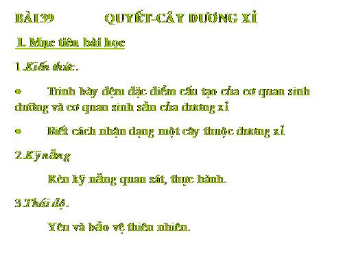 Bài 39. Quyết - Cây dương xỉ