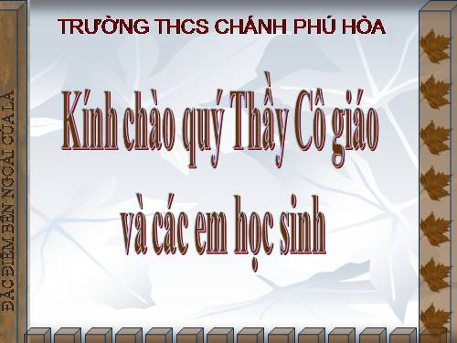 Bài 19. Đặc điểm bên ngoài của lá