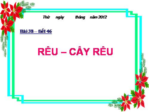 Bài 38. Rêu - Cây rêu