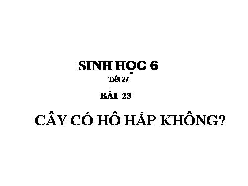 Bài 23. Cây có hô hấp không?