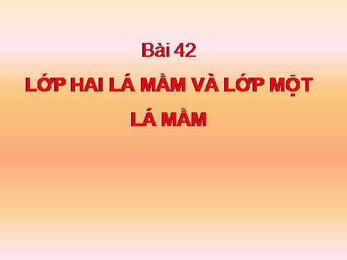 Bài 42. Lớp Hai lá mầm và lớp Một lá mầm