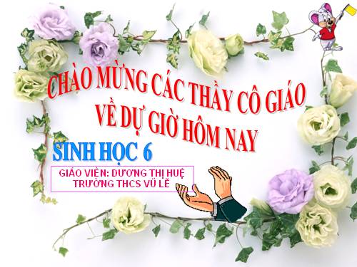 Bài 36. Tổng kết về cây có hoa