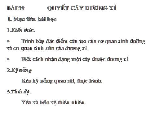 Bài 39. Quyết - Cây dương xỉ