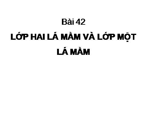 Bài 42. Lớp Hai lá mầm và lớp Một lá mầm
