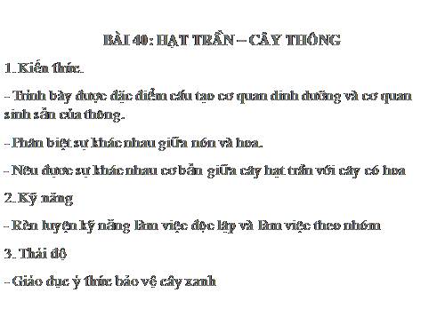 Bài 40. Hạt trần - Cây thông