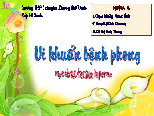 Bài 50. Vi khuẩn