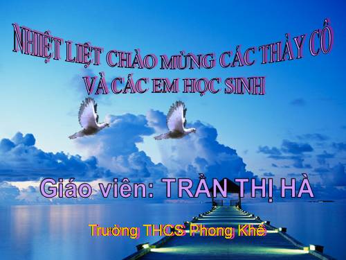 Bài 21. Quang hợp