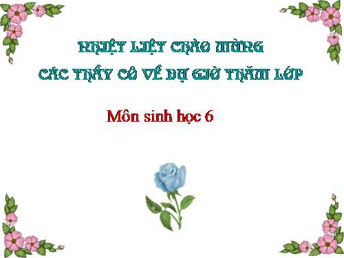 Bài 38. Rêu - Cây rêu