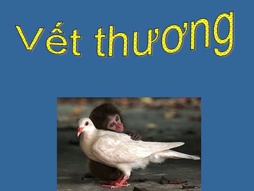 thamkhao