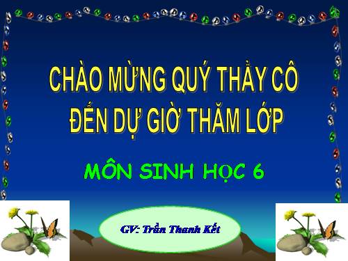 Bài 31. Thụ tinh, kết quả và tạo hạt